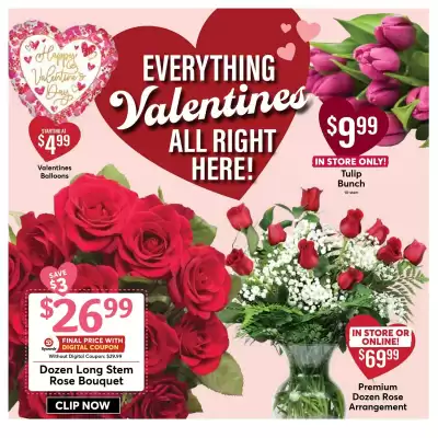 Dierbergs weekly ad (valid until 9-02)