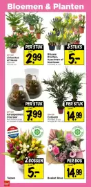 Vomar Voordeelmarkt folder | weekend Pagina 31