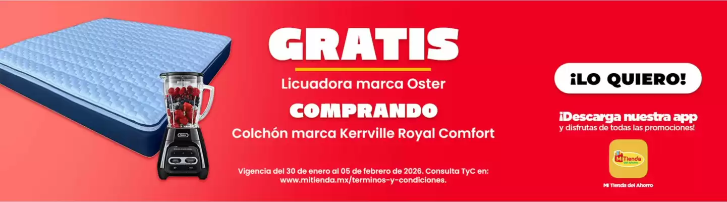 Folleto Mi Tienda del Ahorro (válido hasta 5-02)