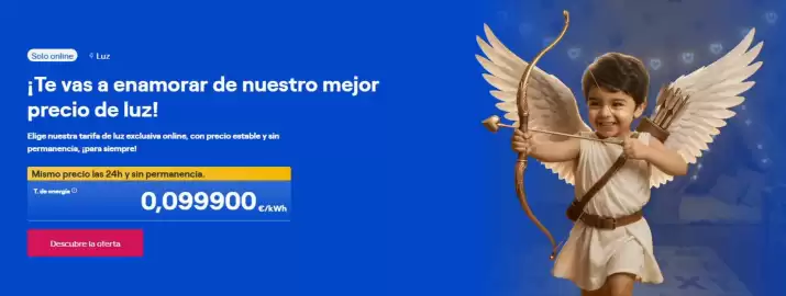 Folleto ENDESA Página 1