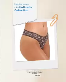 Catálogo Vitnik Página 37