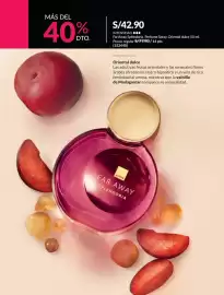 Catálogo Avon Página 51