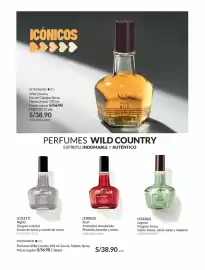 Catálogo Avon Página 66