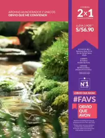 Catálogo Avon Página 68