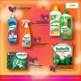 Stokrotka gazetka Strona 31