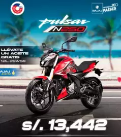 Catálogo Pulsar Página 13