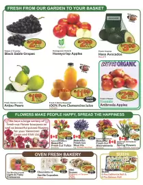 The Garden Basket flyer week 6 Page 2