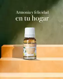 Catálogo Blen Página 1