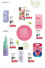 Dm Flugblatt Seite 12