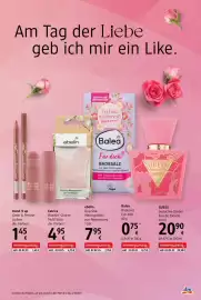 Dm Flugblatt Seite 3