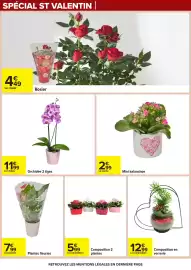 Catalogue Carrefour page 43