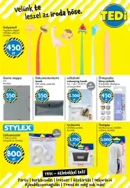 Tedi katalógus Oldal 23