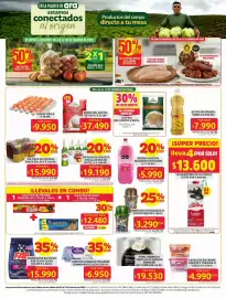 Catálogo Ara semana 6 Página 3