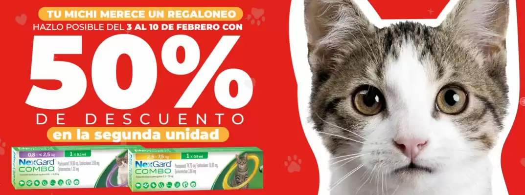 Catálogo PuntoMascotas (válido hasta 10-02)