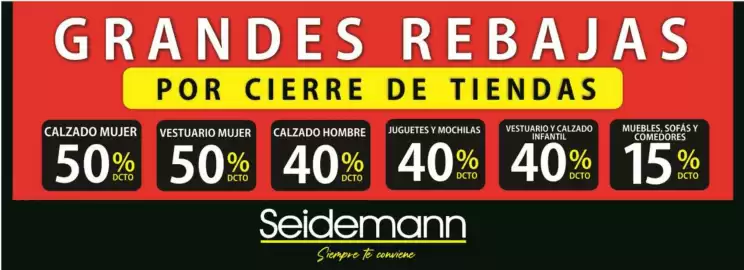 Catálogo Seidemann Página 2