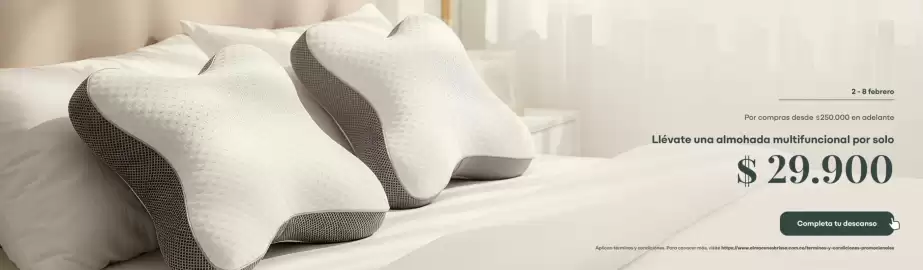 Catálogo Brissa semana 6 Página 1