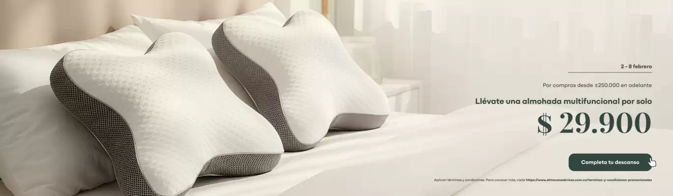 Catálogo Brissa (válido hasta 8-02)