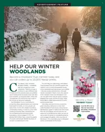 Sainsbury's leaflet Page 89