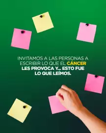 Catálogo Cruz verde Página 2