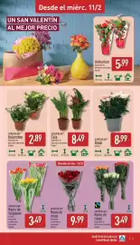 Folleto ALDI semana 7 Página 3