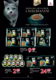 Selgros gazetka Strona 17