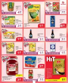Selgros gazetka Strona 13
