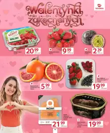 Selgros gazetka Strona 16