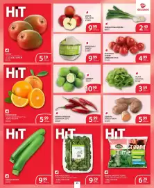 Selgros gazetka Strona 31