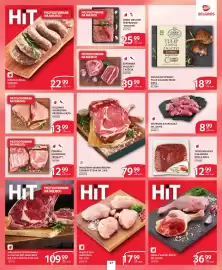 Selgros gazetka Strona 33