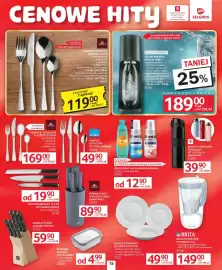 Selgros gazetka Strona 17