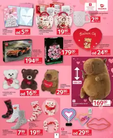 Selgros gazetka Strona 7