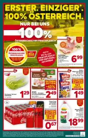 Billa Flugblatt woche 6 Seite 16