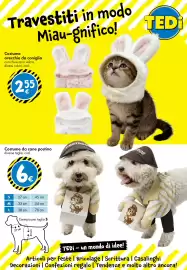 Volantino Tedi Pagina 7