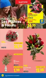 Catalogue Lidl semaine 7 page 30