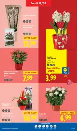 Catalogue Lidl semaine 7 page 33