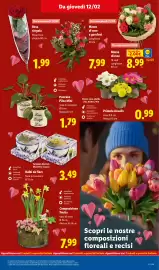 Volantino Lidl settimana 7 Pagina 37