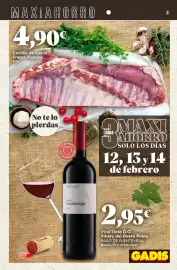 Folleto Gadis Página 3