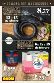 Folleto Gadis Página 4