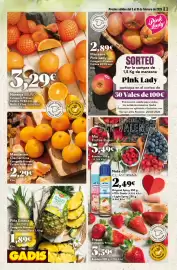 Folleto Gadis Página 8