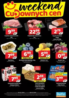 Delfin gazetka (ważność do 8-02)