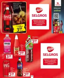 Selgros gazetka Strona 23