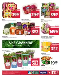 Meny kundeavis Side 8