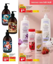 Biedronka gazetka Strona 15