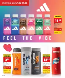 Biedronka gazetka Strona 22