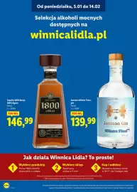 Lidl gazetka | Alkohole Strona 19