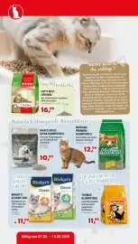 Zookauf Prospekt woche 6 Seite 2