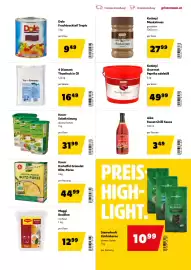 Eurogast Grissemann Flugblatt Seite 13