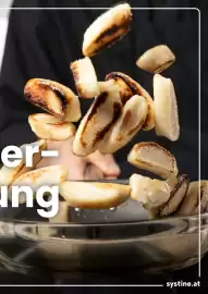 Eurogast Grissemann Flugblatt Seite 15