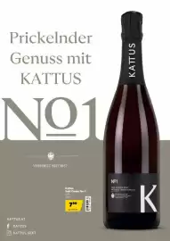 Eurogast Grissemann Flugblatt Seite 25