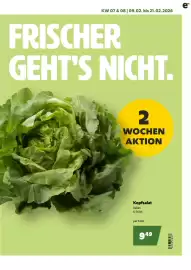 Eurogast Grissemann Flugblatt Seite 3